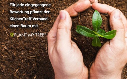 Plant My Tree Baumpflanzaktion