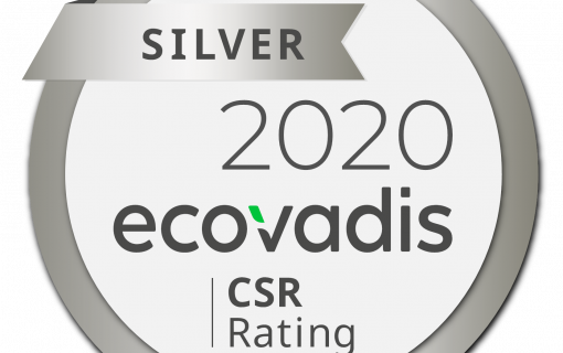 Hailo 2020 PM Ecovadis Logo Silber 2020
